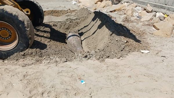 دولفين نافق علي شاطئ