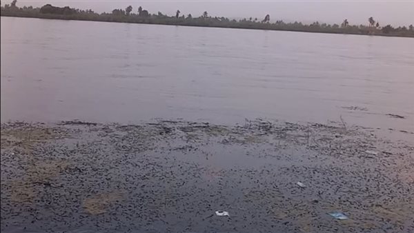 موقع غرق الفتى 