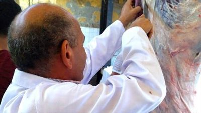 الصحة تحذر من ذبح الأضاحي في المنازل