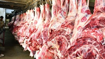 تخفيضات تصل لـ40%.. بشرى سارة بشأن أسعار اللحوم قبل عيد الأضحى