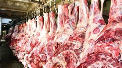 محافظ الدقهلية: قافلة سيارات لبيع اللحوم المدعومة بسعر 260 جنيهًا للكيلو في دكرنس وبني عبيد اليوم