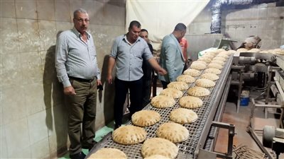 محافظ كفر الشيخ: حملة تفتيشية على مخابز قلين.. وتحرير 5 محاضر تموينية