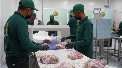 بيت الزكاة: 100 ألف أسرة أولى بالرعاية تستفيد من مبادرة فطارك معانا يوم عرفة