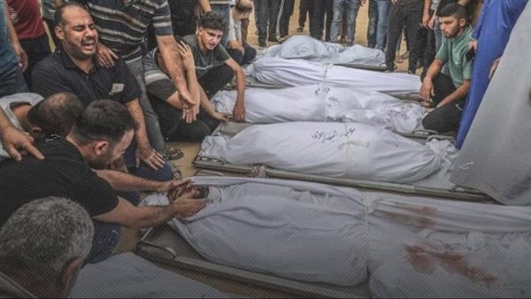 شهداء حي النصيرات