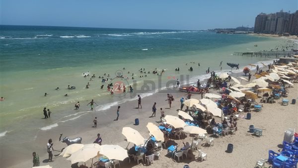 شواطئ الإسكندرية