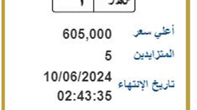 5 أشخاص يتزايدون على لوحة مرور تحمل أرقام س هـ ر 1.. وصلت 605 آلاف جنيه