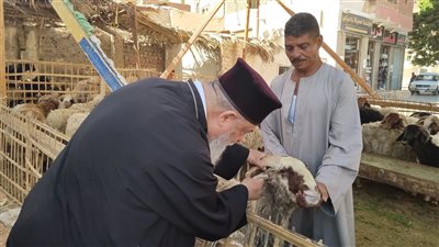 سعر خروف العيد 2024.. نصائح عند شرائح الأضحية