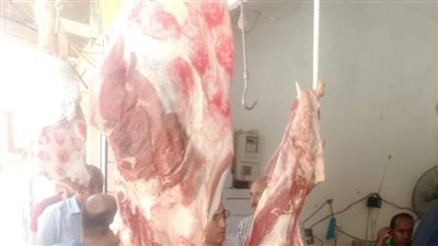 تموين المنيا تضبط 519 مخالفة خلال عيد الأضحى.. وتشدد الرقابة على الأسواق والمخابز