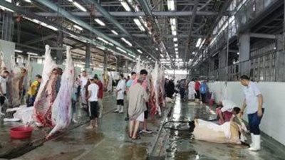 مديرية الطب البيطري بالقاهرة ترفع درجة الاستعداد القصوى لاستقبال عيد الأضحى