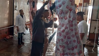 خلال 5 أيام.. ذبح 2482 رأس ماشية داخل المجازر الحكومية بالبحيرة 