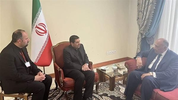 وزير الخارجية المصري