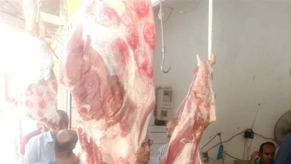 حملات تفتيشية بالمنيا