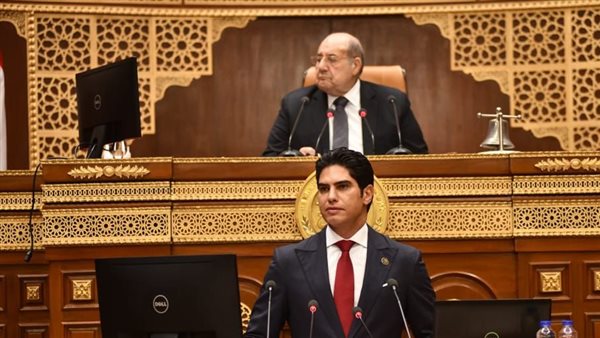 الجلسة العامة لمجلس