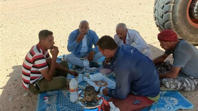 أول تعليق من الزراعة على جلوس خبراء بحوث الصحراء في ظل اللوادر