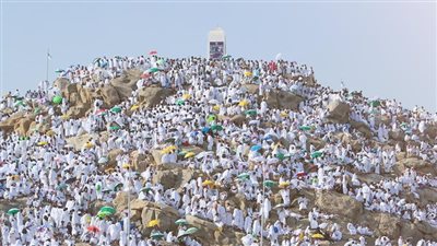 أمين الفتوى: هذا الوقت الصحيح للوصول لعرفة