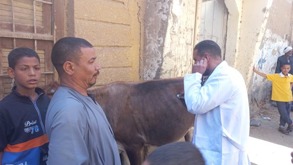 قافلة بيطرية