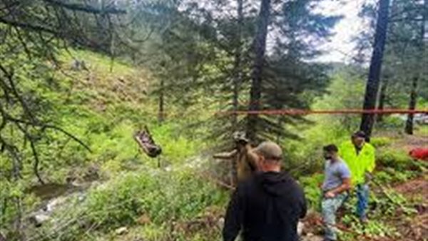 كلب ينقذ صاحبه