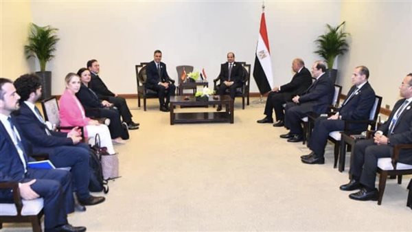 الرئيس السيسي ورئيس