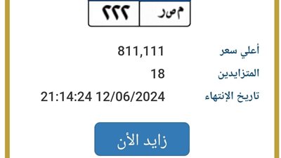  18 شخصًا يتزايدون على لوحة مرور مميزة تحمل اسم مصر.. اقتربت من حاجز المليون