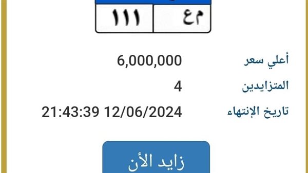 القاهرة 24