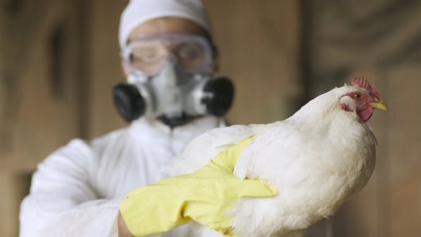  صورة تعبيرية إنفلونزا