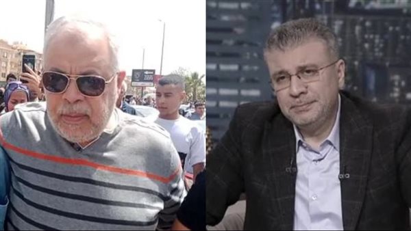 صورة أرشيفية لعمرو