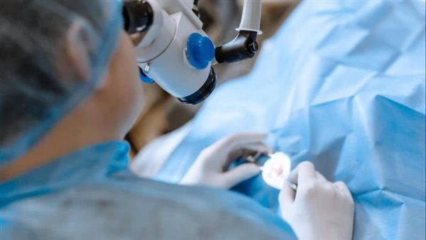  صورة تعبيرية 