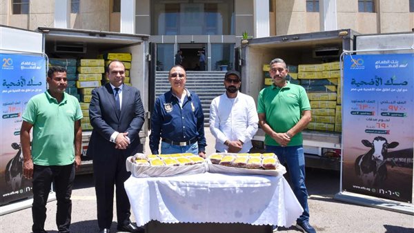 محافظ الإسكندرية