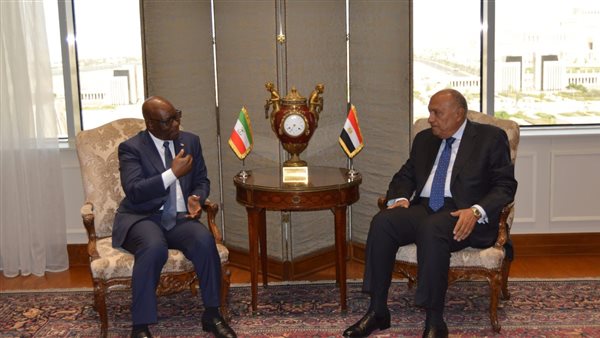 شكري يستقبل وزير