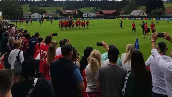 تدريب منتخب المجر