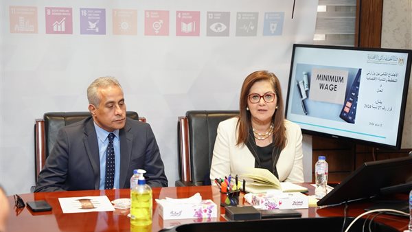 وزيرة التخطيط ووزير