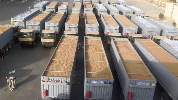 توريد القمح 