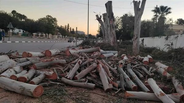 قطع الأشجار 