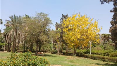 بعد واقعة قطع الأشجار.. أول قرار من وزيرة البيئة بشأن حديقة الميرلاند