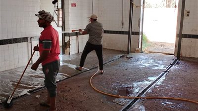 حملات لغسيل وتطهير مجازر الوادي الجديد استعدادا لعيد الأضحى| صور