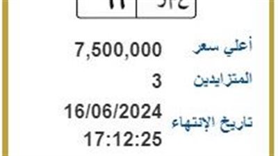 عمر وبطل.. طرح لوحات مرور مميزة للبيع وسعر إحداها وصل إلى 7،5 مليون جنيه