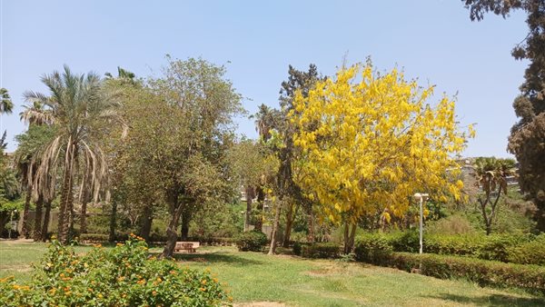 حديقة الميرلاند