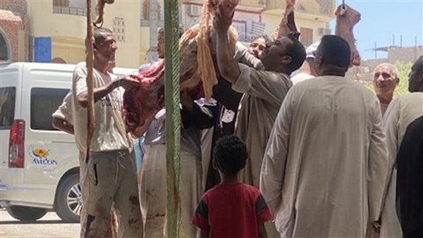 مبادرات لتخفيض أسعار