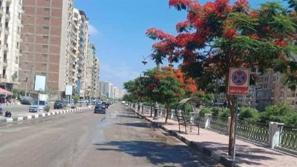 زراعة 1.4 مليون شجرة