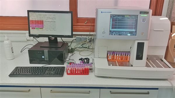 جامعة المنيا