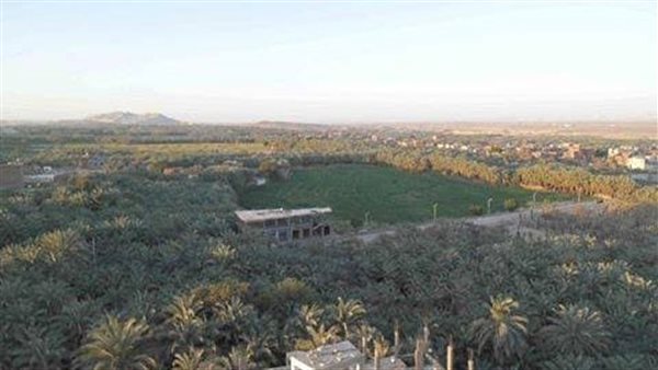 محافظة الوادى الجديد