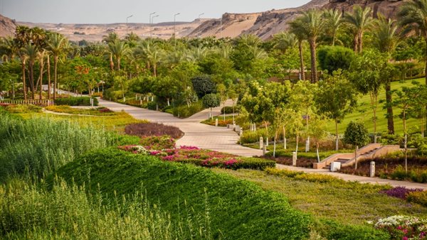 المساحات الخضراء