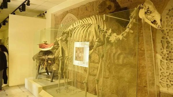  الهيكل العظمى لآخر