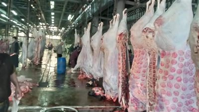 الهندي بـ 270 جنيهًا.. أسعار اللحوم البلدي والمستوردة في الأسواق 