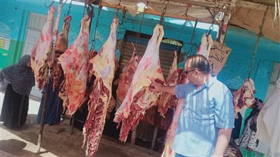 ذبح المواشي خارج المجازر ولحوم غير صالحة.. تحرير 141 محضرا خلال حملات رقابية بالمنيا