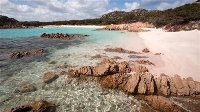 القبض على إنفلونسر إماراتية وتغريمها 1800 دولار بعد تصويرها فيديو بشاطئ في دبي