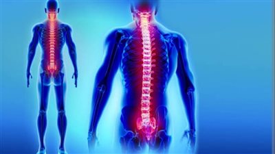 باحثون يطورون علاجا جديدا لمضاعفات إصابات النخاع الشوكي