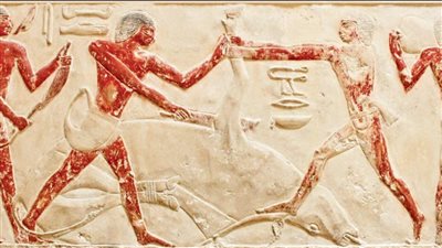 طقوس دقيقة ورعاية خاصة.. كيف اهتم المصري القديم بالثروة الحيوانية لخدمة الدين والغذاء؟ | صور 