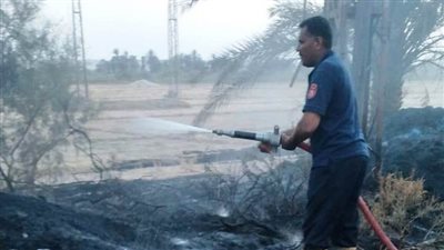 مزارع يتسبب في حريق بكابل كهرباء رئيسي بأسوان.. والمحافظ يحمله تكلفة إصلاحه