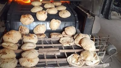 ضبط 21 مخبزًا بلديًا لتصرفها في الدقيق المدعم وبيعه للسوق السوداء بالبحيرة